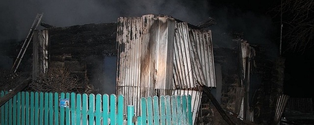 В Новосибирской области жертвами пожара стали мать и четверо детей